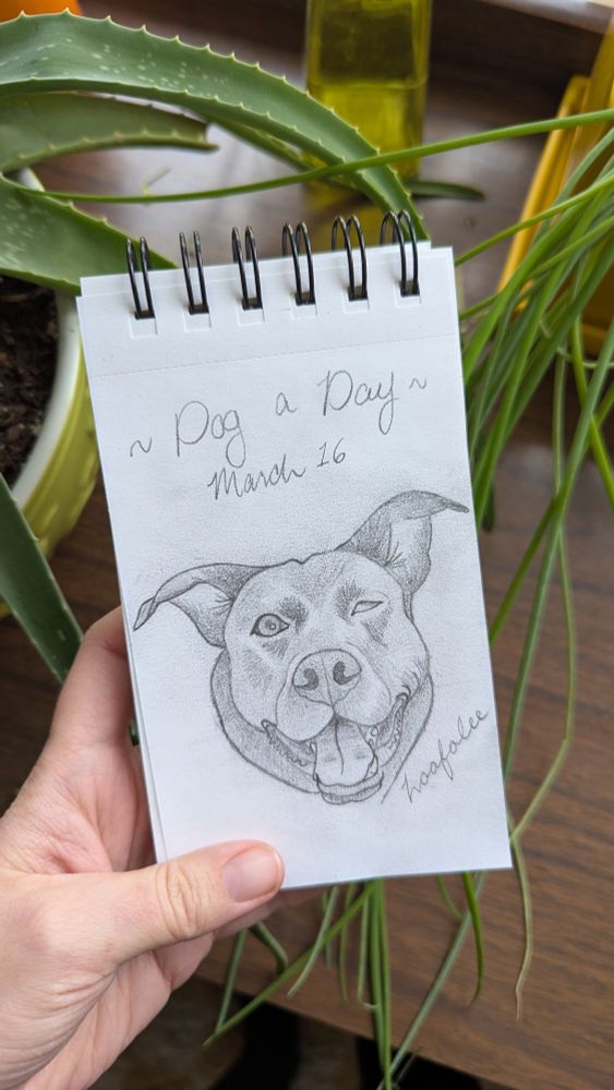 A pencil portrait of a mixed breed dog. The dog is looking straight ahead and is panting with a wide open mouth. He also has a large nose, perky ears, and one eye is vision impaired. The text "Dog a Day March 16" is above and the drawing is signed "Loafalee" 