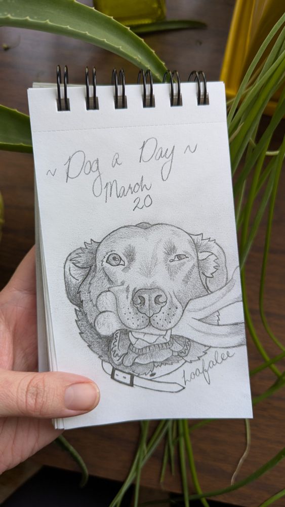A pencil portrait of a mixed breed dog looking forwards and holding a toy bone in his mouth. The dog has a large nose, droopy lips and fluffy neck rolls. He left eye is open wide but the right eye is visually impaired. A buckled collar is around his neck. The text "Dog a Day March 20" is above and "Loafalee" is signed below.