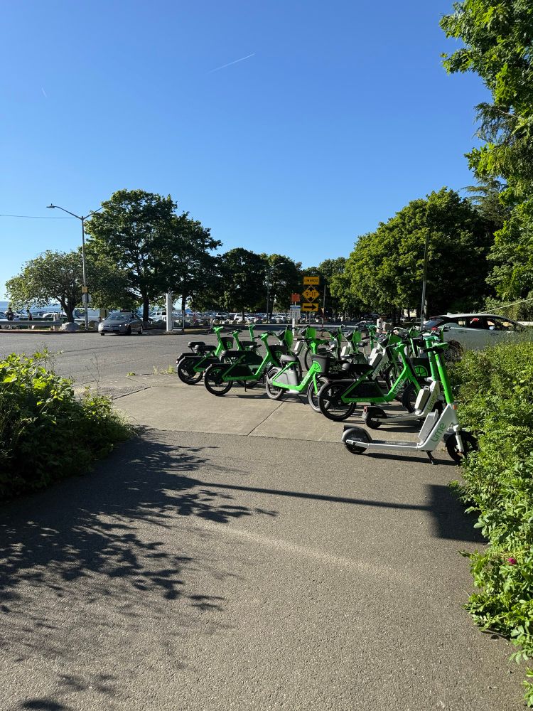 Dozens of lime scooters parked near the Golden Gardens entrance