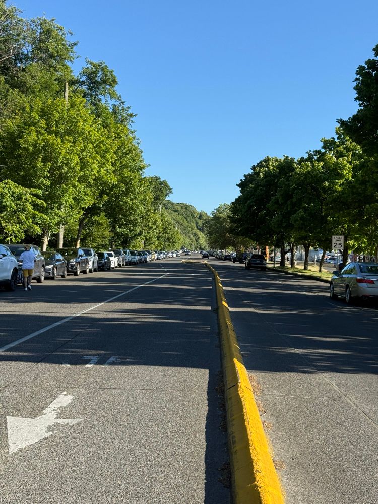 Cars parked on the both sides of the road for a better part of a mile leading to Golden gardens