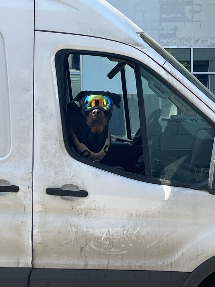 A black Labrador retriever is sitting in the passenger side seat of a dirty white truck. The dog is looking out the window directly at the viewer. The dog is wearing reflective ski goggles.
