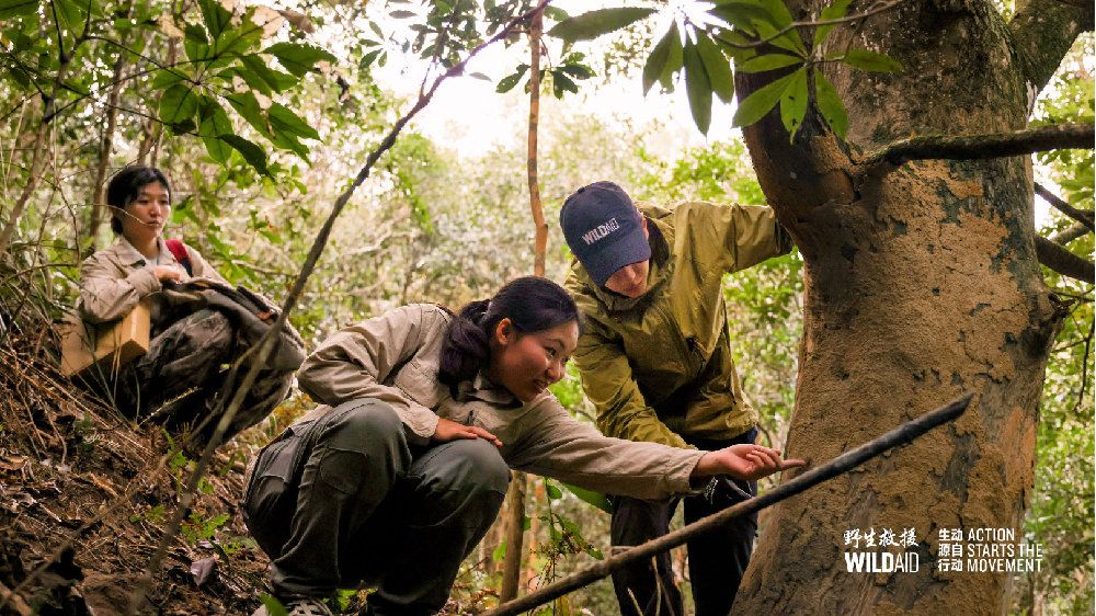 In a wooded area, a woman squats down in the foreground, pointing to something out of view. WYB is behind her, looking at what she is pointing towards. There is another figure off and to the left observing.