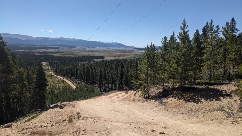 Dirt road looking downhill through a cut in the forest with a lone biker pushing his bike up the hill 