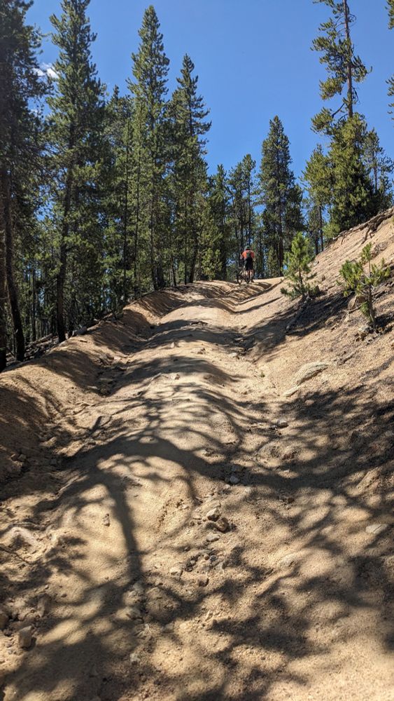 Rutted dirt road going up at a steep pitch with a biker pushing their MTB.
