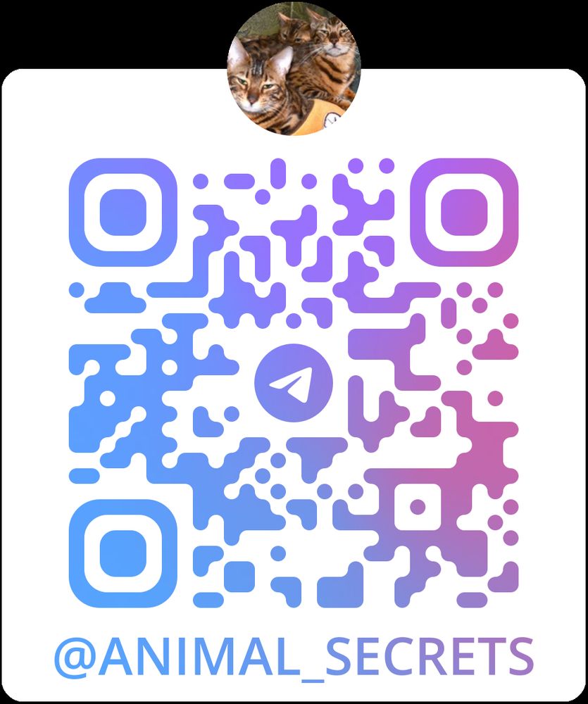 #AnimalSecrets #FunnyPets #CoolPets #PrettyPets #ExcellentCats  #Animal #Pet #Cat #Dog 