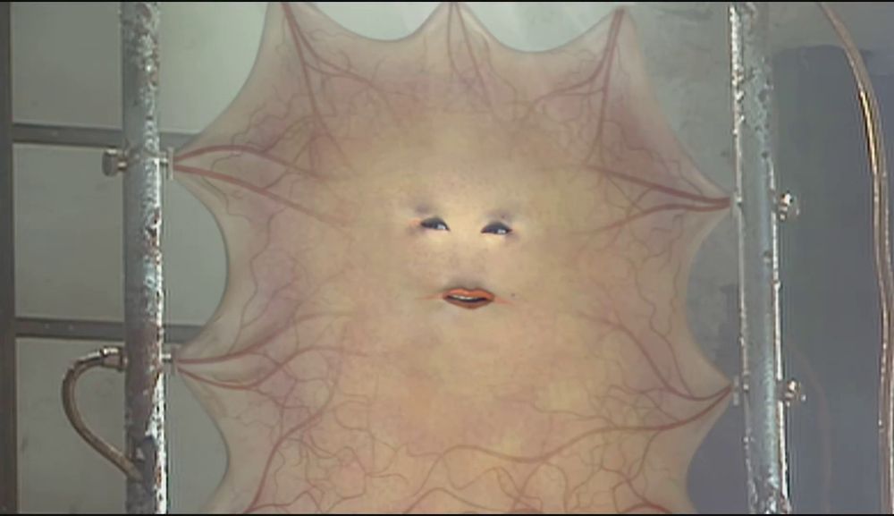 Lady Cassandra from Doctor Who. An ancient woman who has reduced herself to just a stretched panel of skin on a metal frame. 