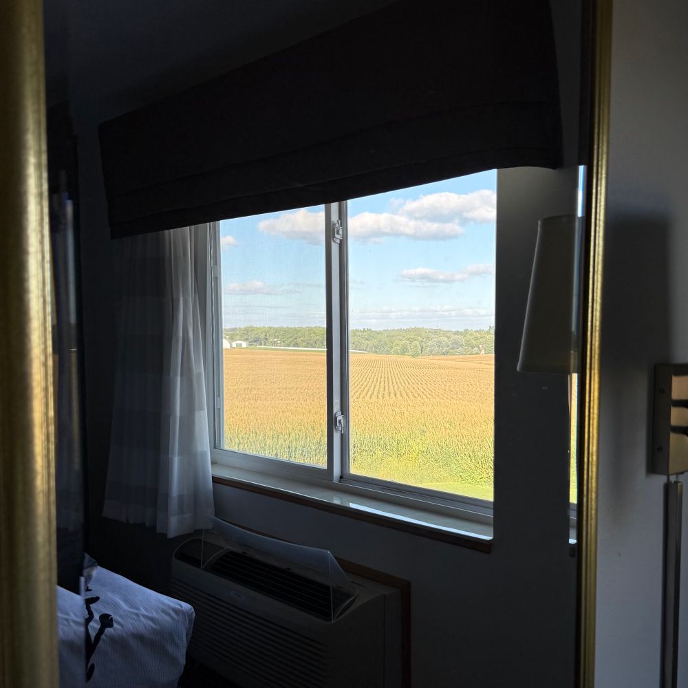 Jesus, more fucking corn, but through a mirror this time. 