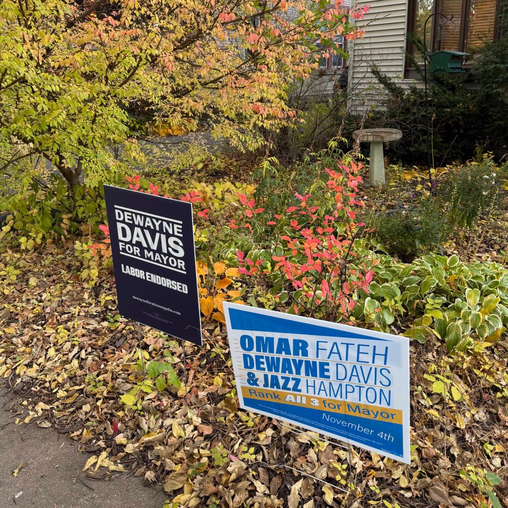A Rank all Three mayoral sign next to a DeWayne Davis for  mayor sign. 