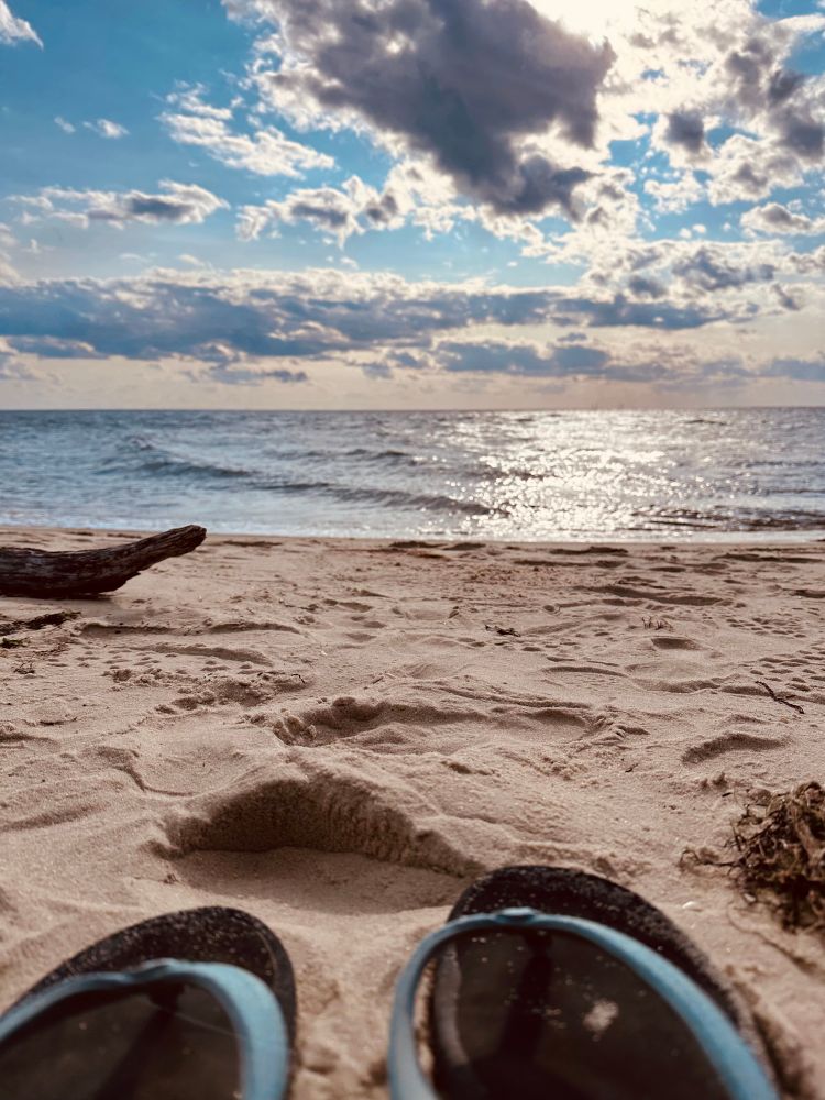 Blue Flip flops in the sand on a beach with driftwood and the ocean sparkling under partly cloudy blue skies. 