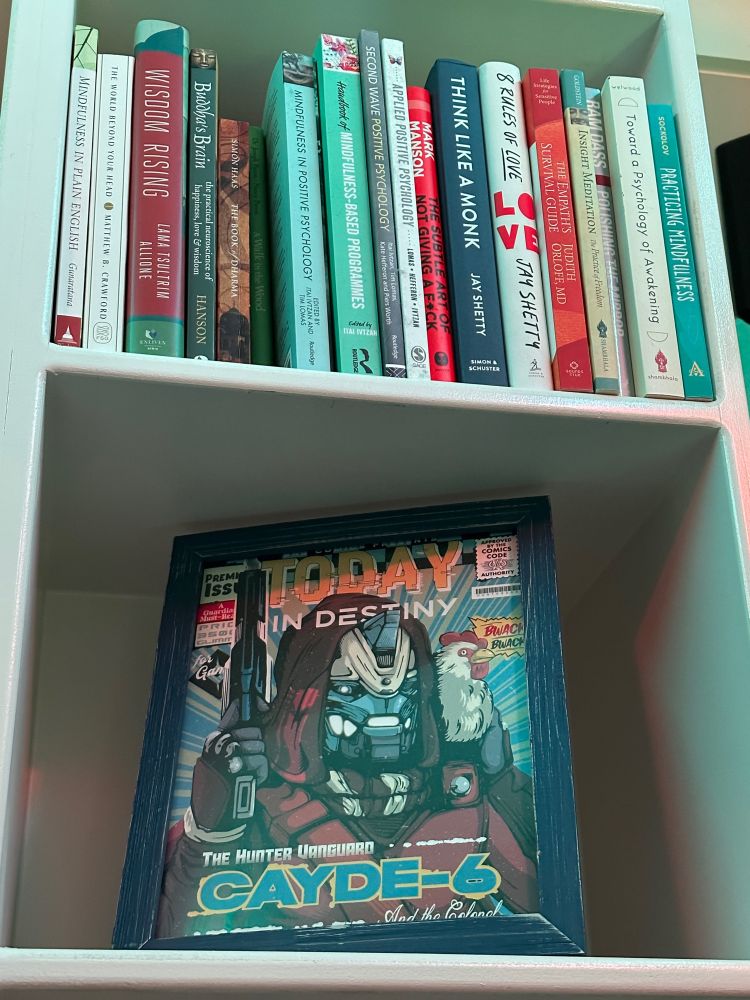 There are several books on a white shelf along with comic artwork from Certified Retro. The artwork is Cayde-6 from the game Destiny.