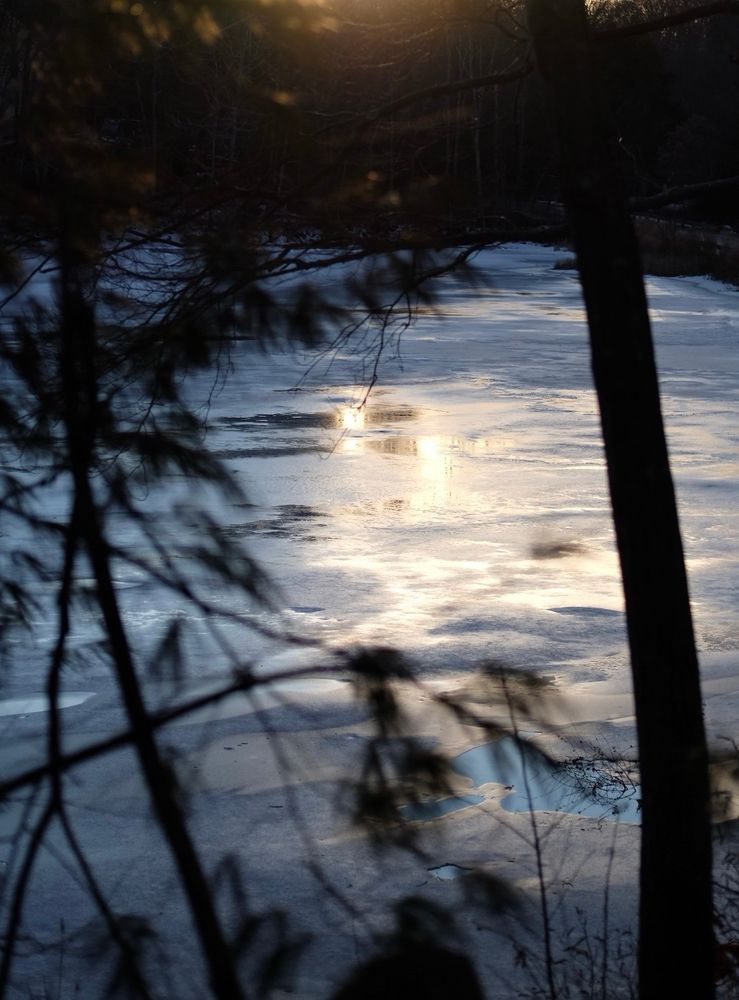 Looking through the blurred branches of trees to the reflection of the sunset on an ice covered pond