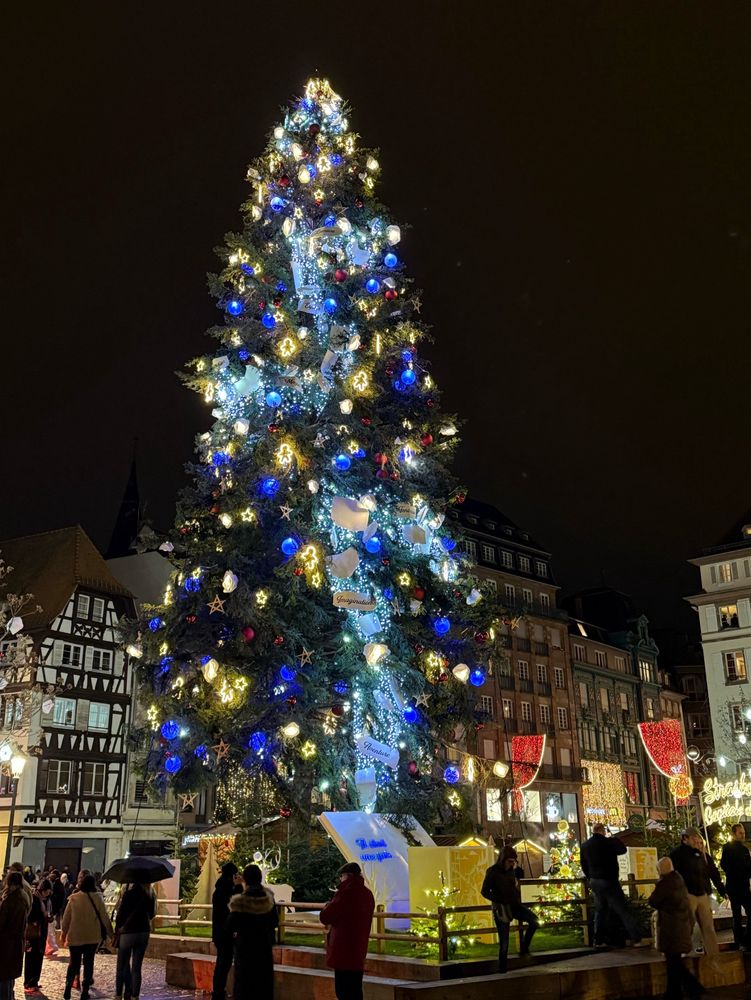 Le grand sapin sur la place Kléber sous le thème de « Strasbourg, capitale mondiale du livre » 