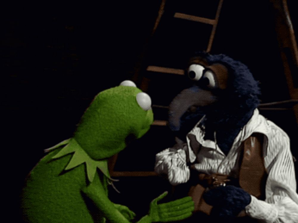 kermit the frog and a pirate looking at each other in a dark room