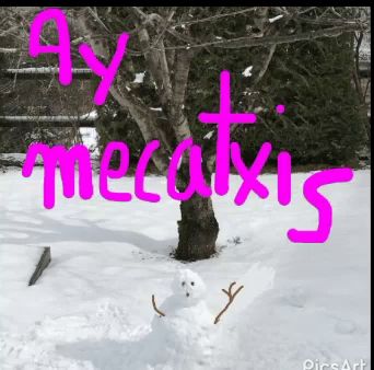 a picture of a snowman and the words ayy mecatxis in pink