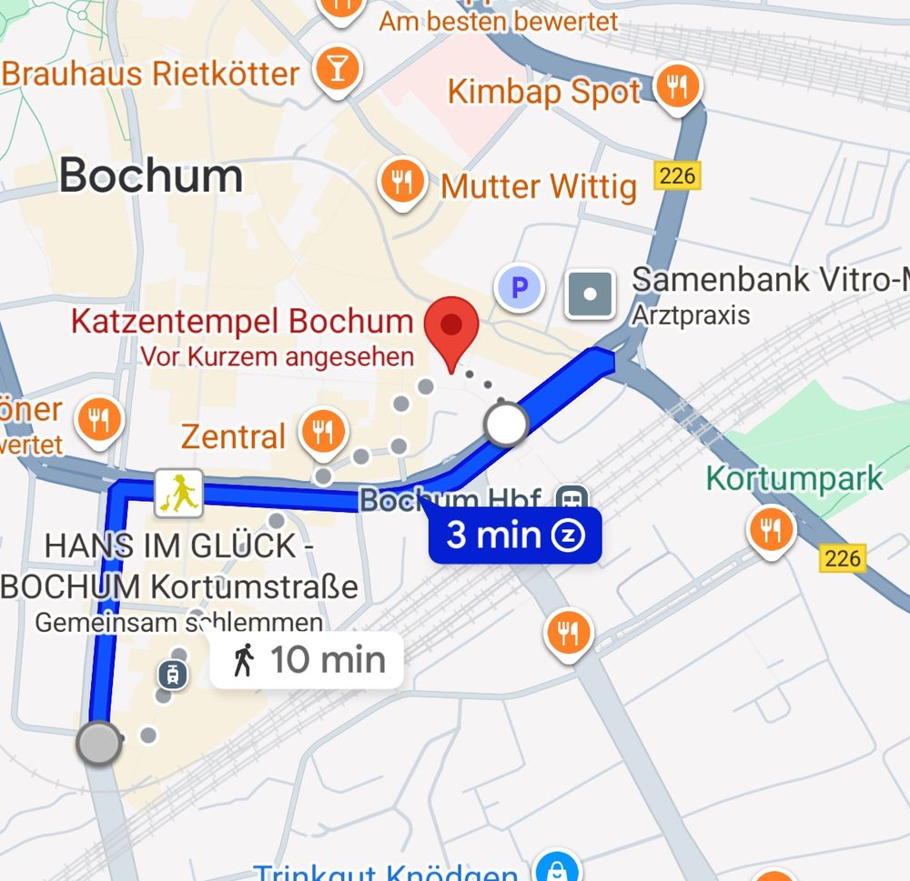 Screenshot aus Google Maps mit dem Katzentempel und dem Weg zum Bermuda3eck