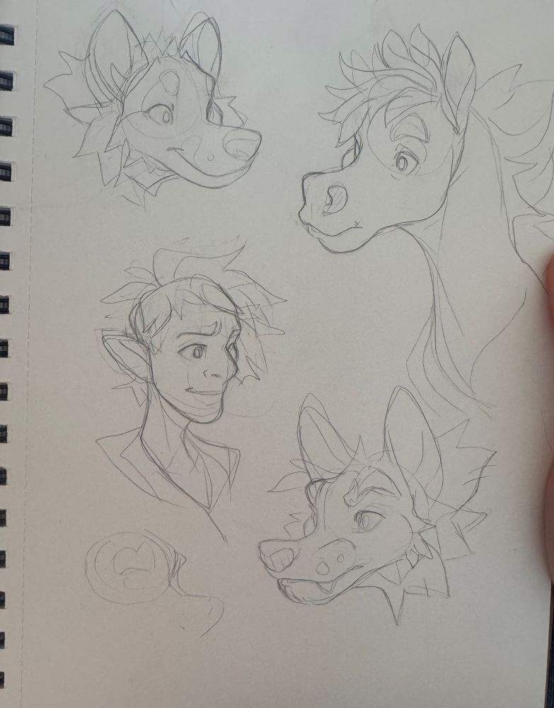 Sketch page of some heads including a wolf, horse and elf 