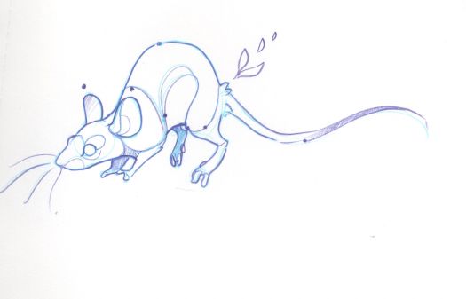Sketch of a rattie!