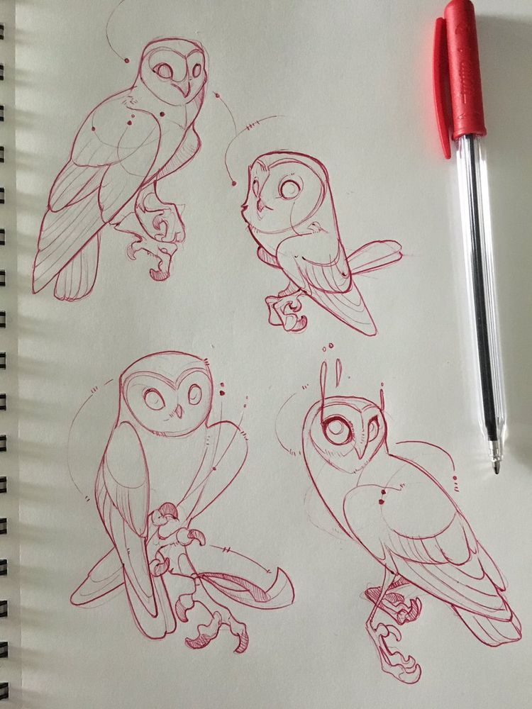 sketches of owls