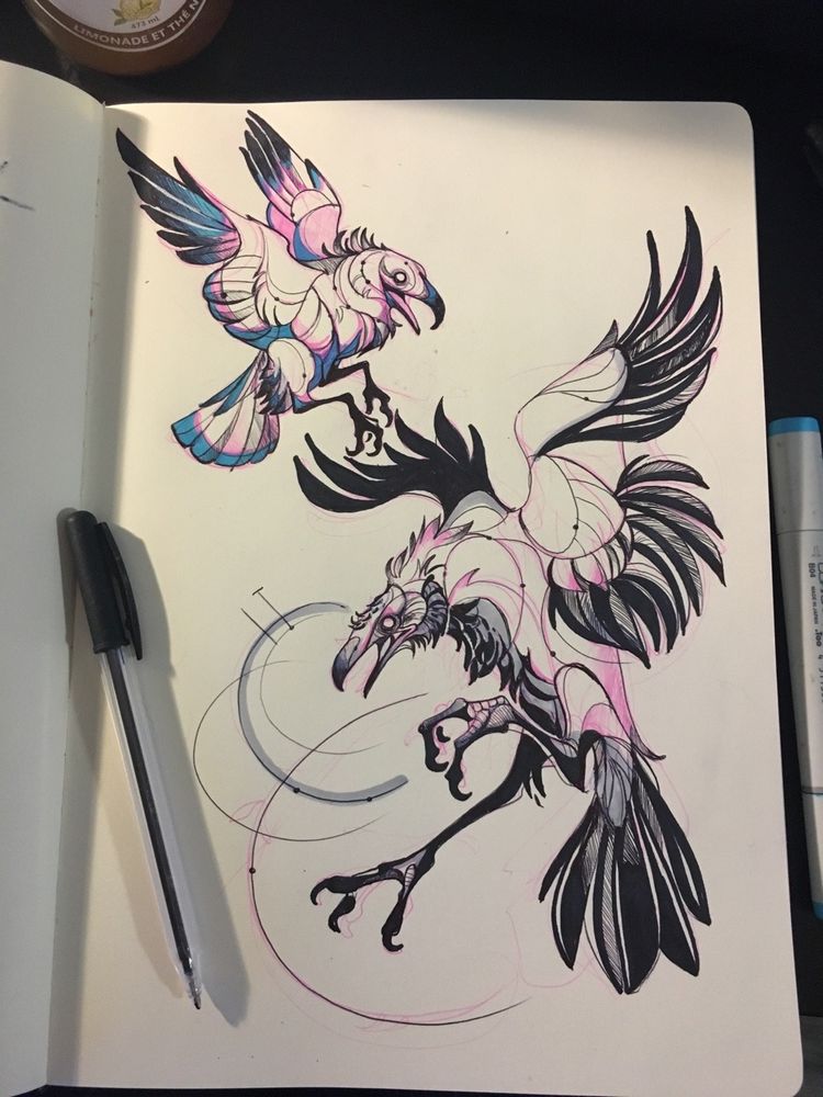 Picture of two crows in ink, their feathers darkened