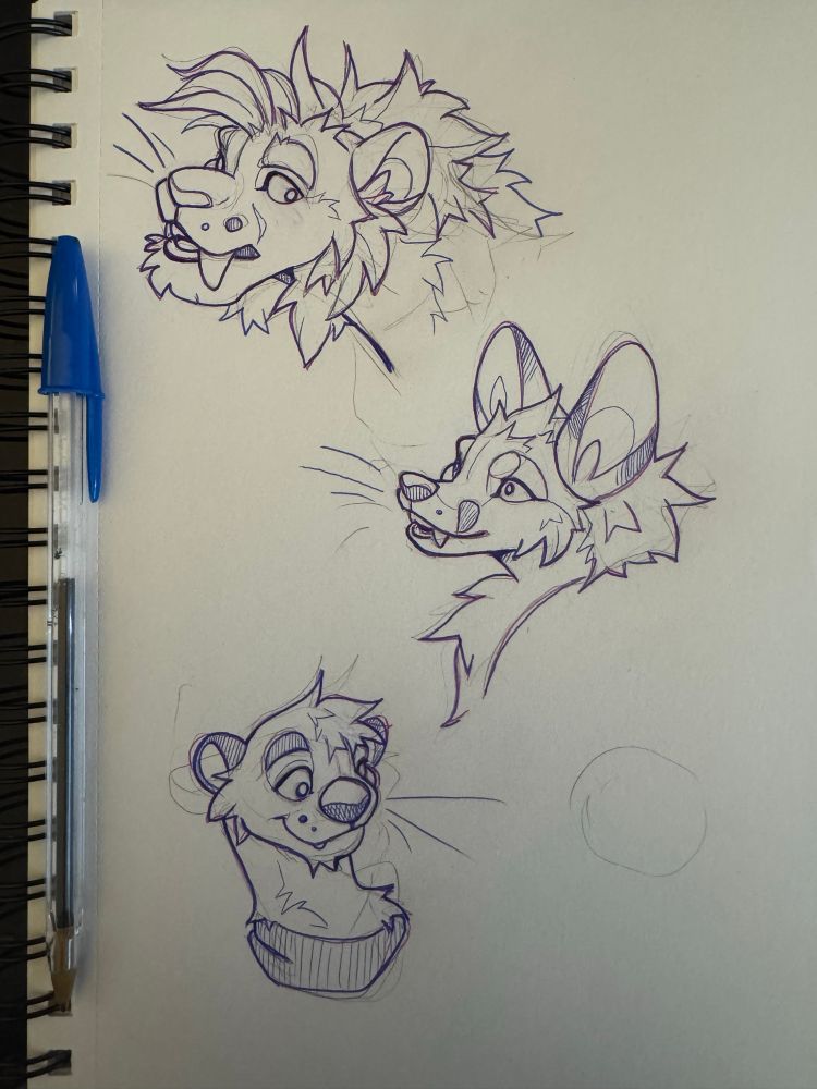 Sketch page of a lion fox and otter head