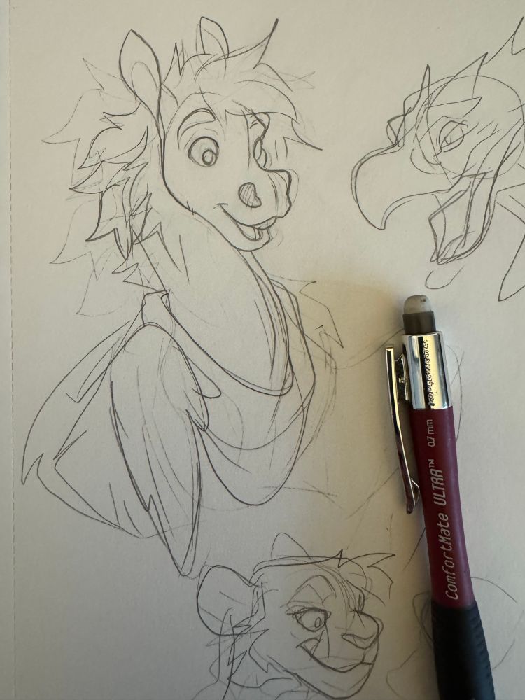 Sketch of a Pegasus