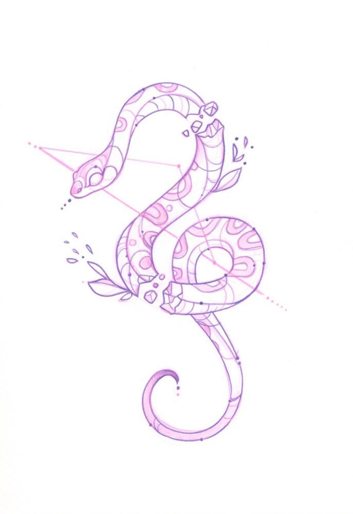 Drawing of a snake 