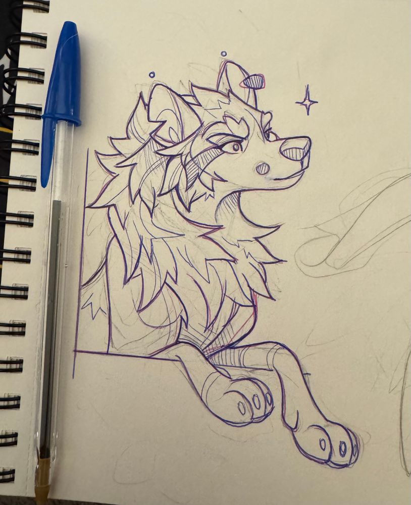 Ink drawing of a wolf 