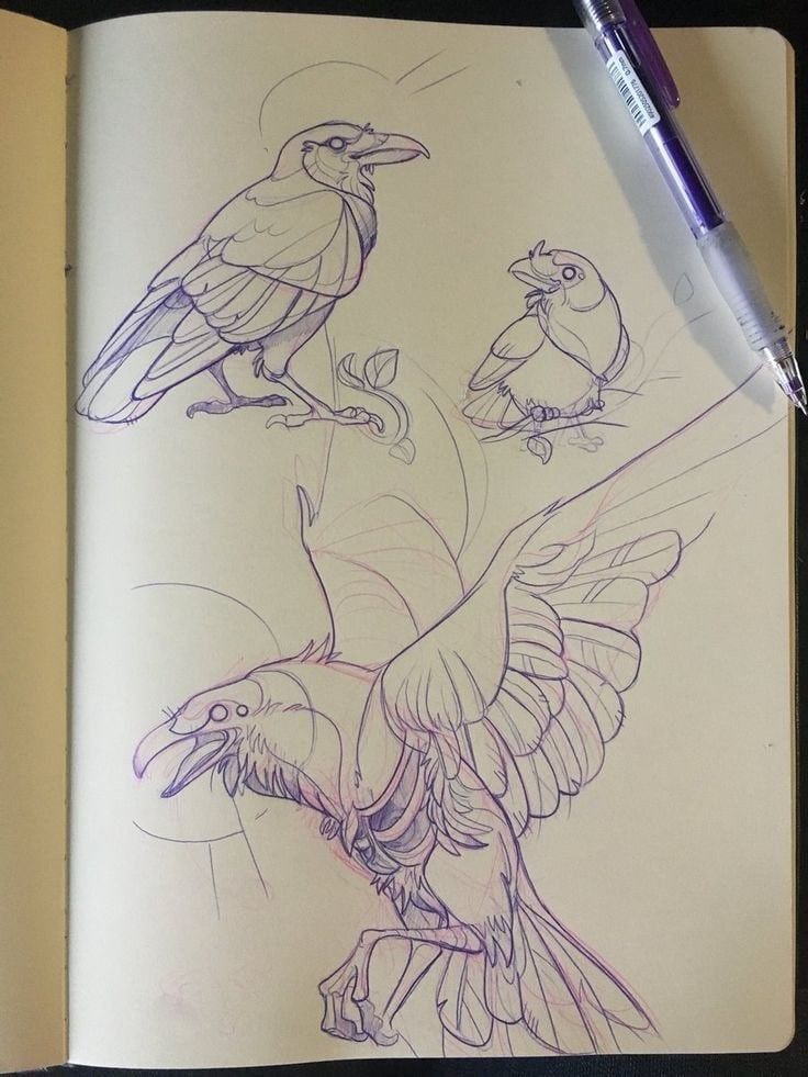 sketch page of crows