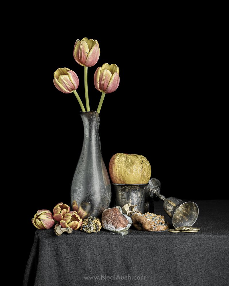 A vanitas still life with tulips and coins. By Neal Auch.