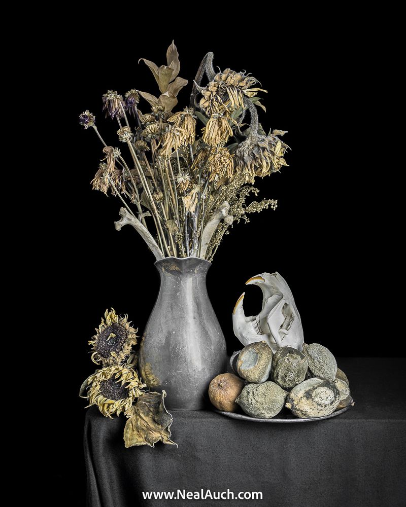 Vanitas with Flowers