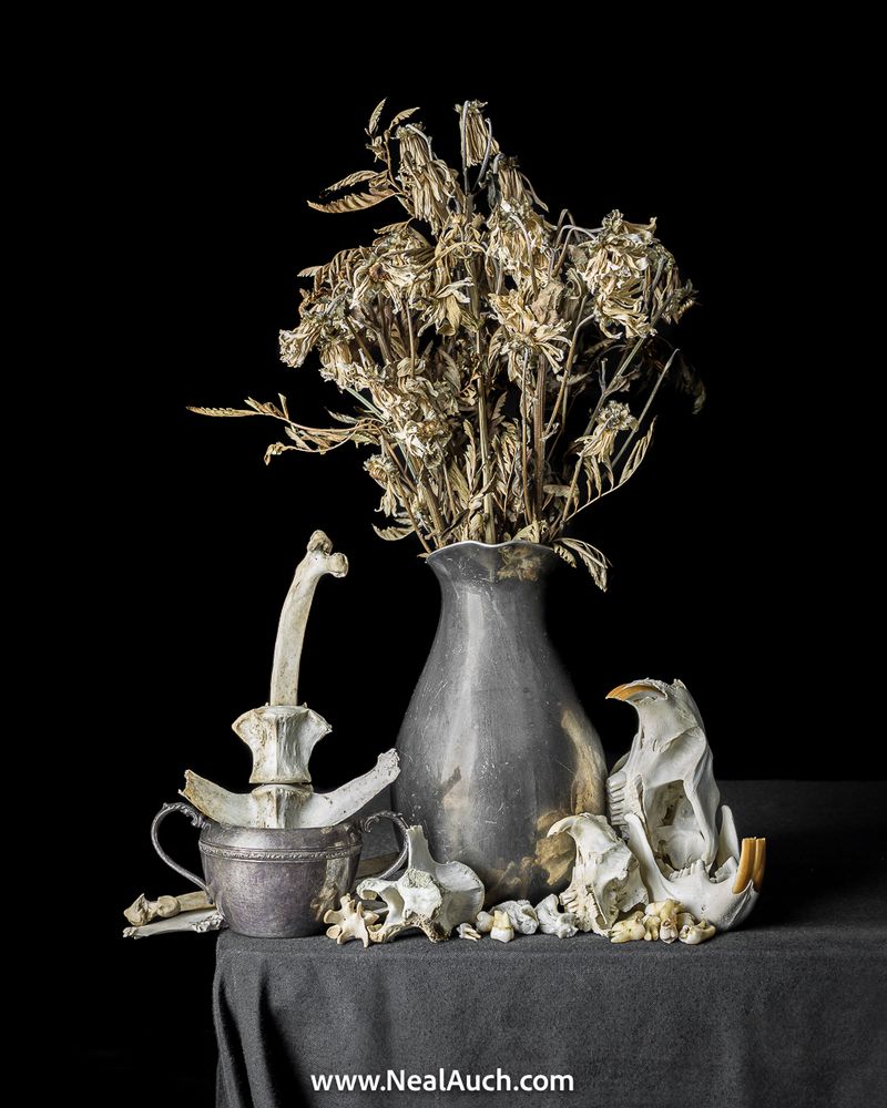 Vanitas with Flowers