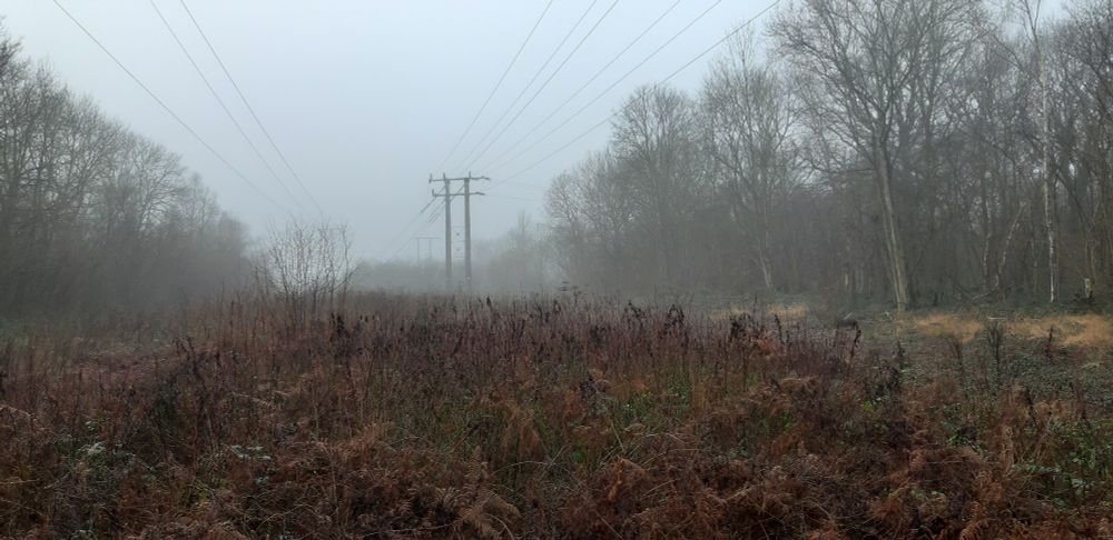 Foggy winter folk horror countryside 