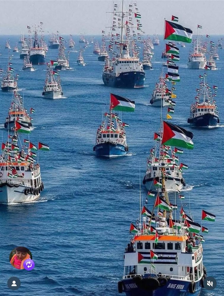 Flåte på vei til Gaza