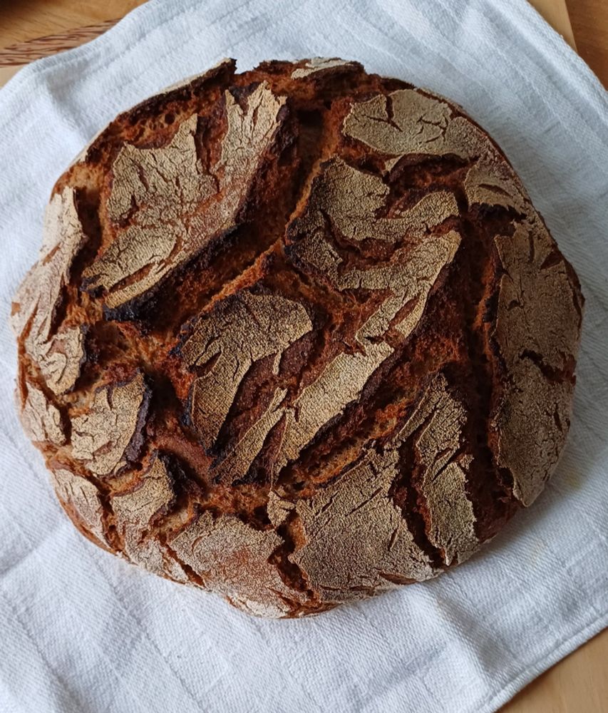 Ein rundes, rustikales Brot, das auf einem weißen Tuch liegt. 