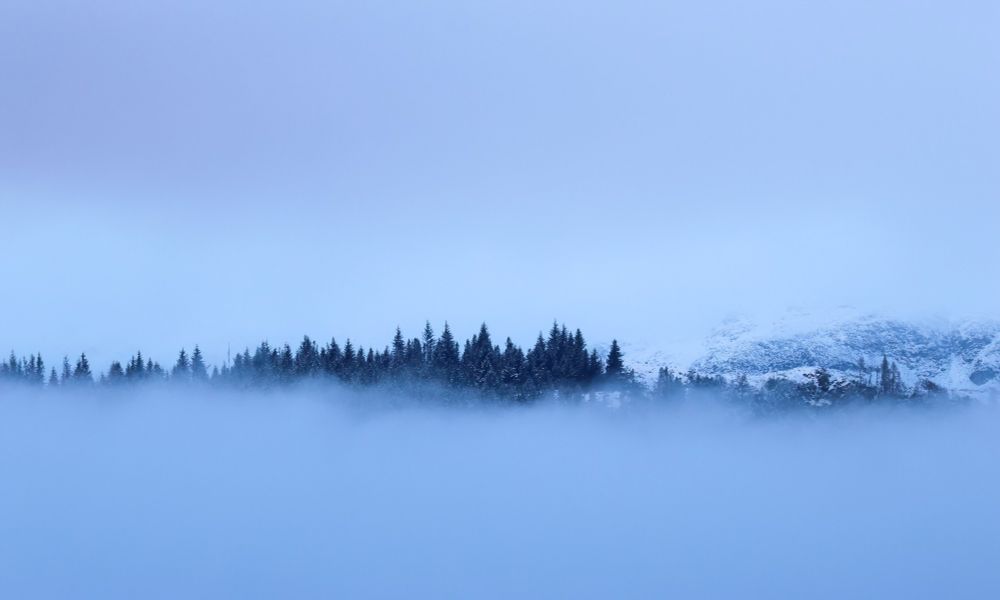 A frozen scene of trees and mist and mountain in winter.