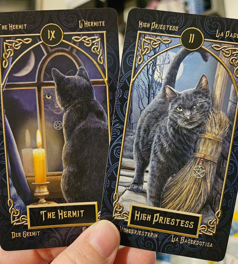 The Hermit and High Priestess tarot cards. The Hermit has a black cat looking out a window at a crescent moon with a candle burning beside it. The High Priestess is also a black cat rubbing against a broom. She has a full moon behind her. Both images have pentagrams on them. 