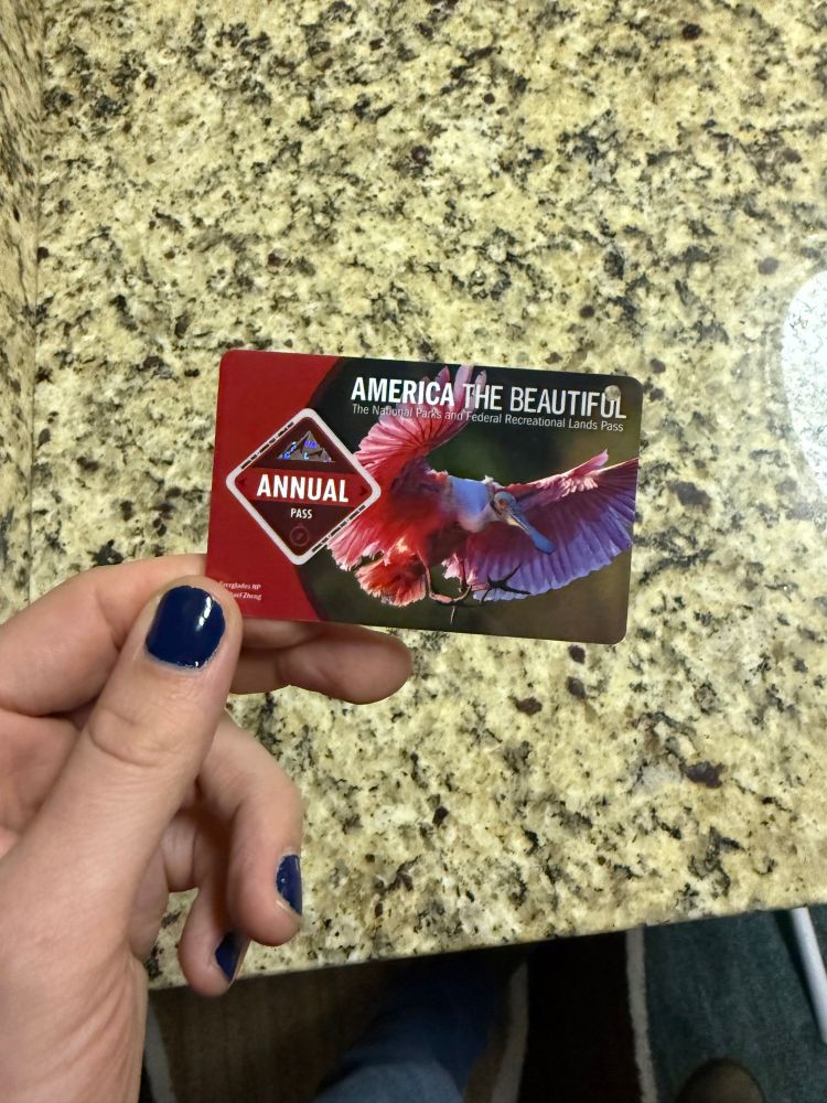 My National Parks annual pass, showing a bird