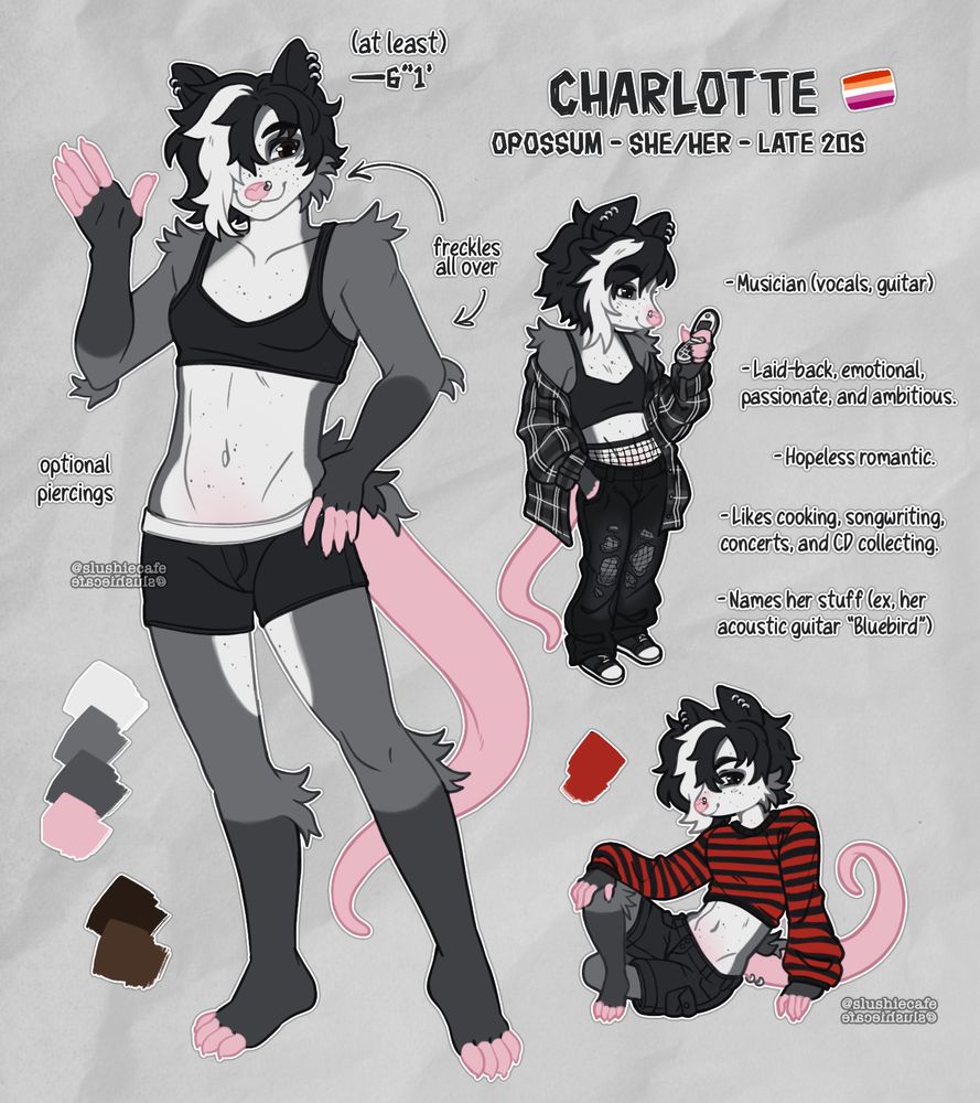 A character reference sheet including a fullbody and two chibi drawings of a black and gray opossum character.

Text reads "Charlotte. Opossum. She/Her. Late twenties. Height 6'1". Musician (vocals and guitar). Laid back, emotional, passionate, ambitious, and hopeless romantic. Likes cooking, songwriting, concerts, and CD collecting. Names her stuff (example, her acoustic guitar "Bluebird")."

She has short emo styled black hair with a white stripe covering one side. Her face and body is covered in dark gray freckles. She has a very thin, tall, and rectangular body shape. She stands in a neutral friendly pose while waving with a smile. There are two chibis to the right. The first stands in a laid back phone checking her flip phone, she wears a black flannel shirt, cropped tank, torn baggy jeans, and fishnet leggins. The second chibi is sitting casually and waring a red and black striped cropped crewneck and black cargo shorts.