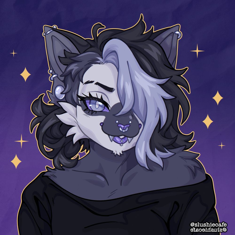 A digital drawing of a gray and white cat anthro captured from the waist up. They have a white face, dark muzzle, and dark hair with a stripe of light purple pulled into a side bun. They wear many face and ear piercings and wear a black sweater. They are smiling fiercely at the viewer.