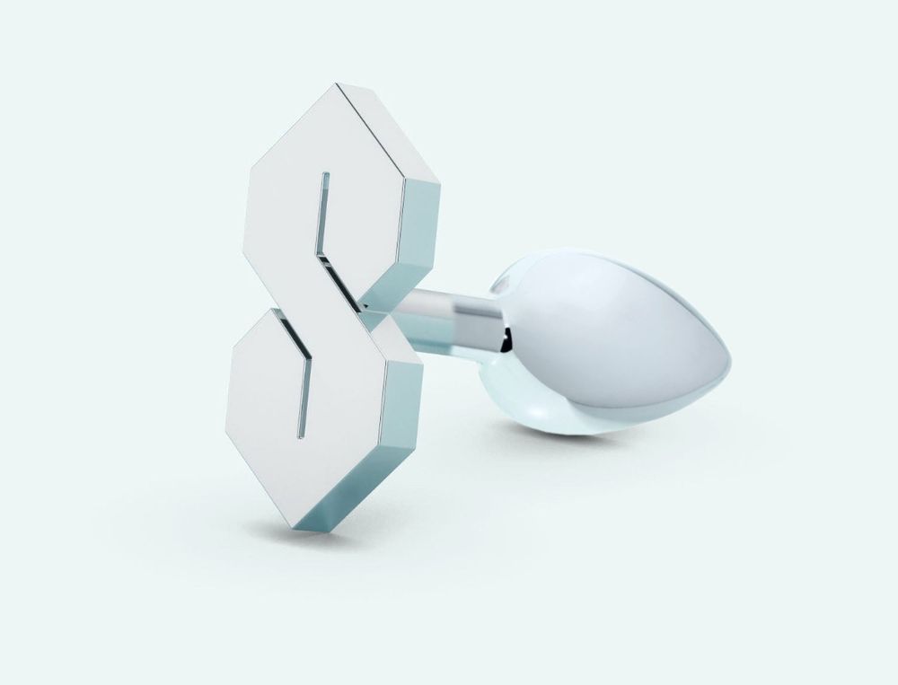 a metal butt plug with the cool S thing on one end