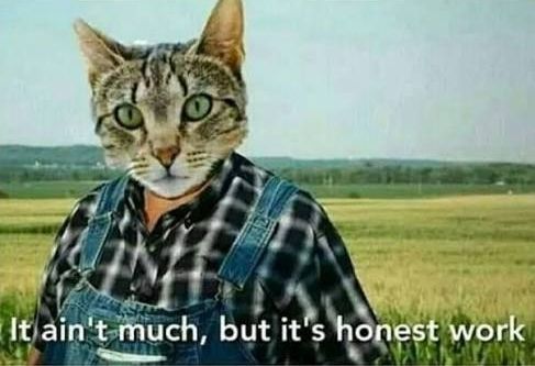 cat farmer meme, with the caption "it aint much, but its honest work".