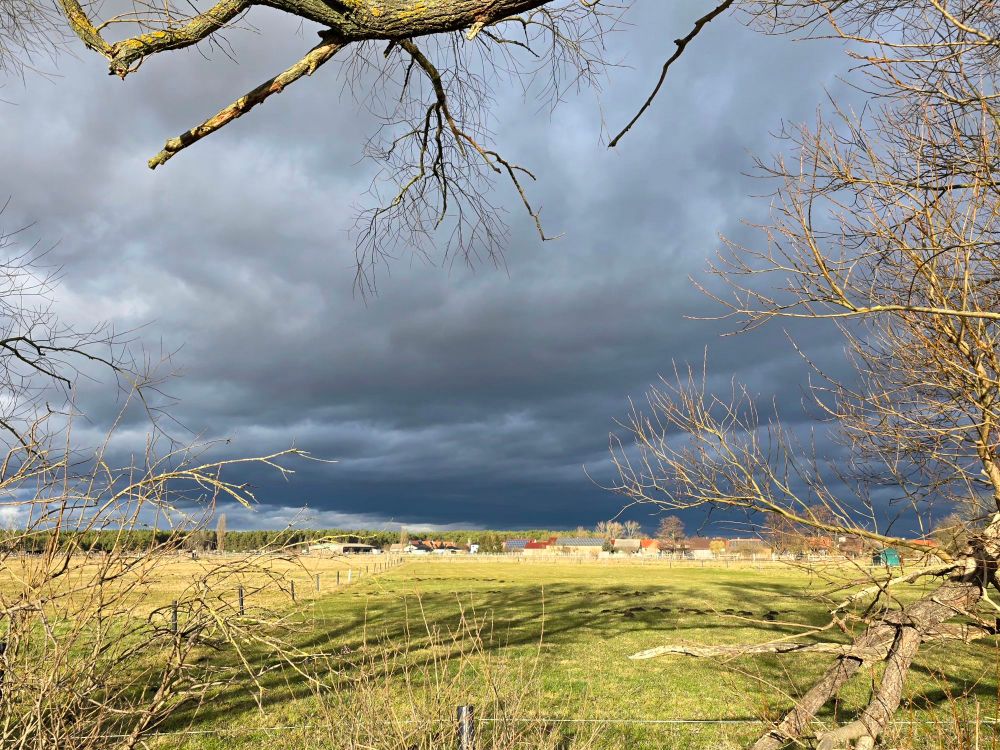 Im Vordergrund eine Wiese und am Himmel Regenwolken. 
