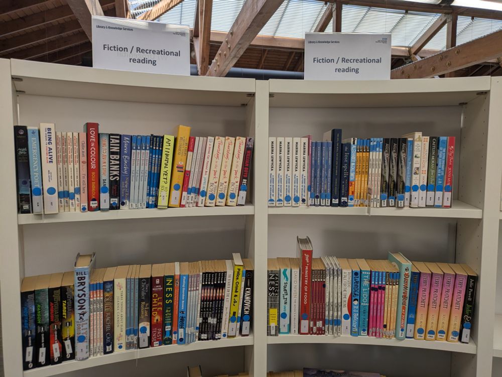 A variety of fiction books displayed on shelves