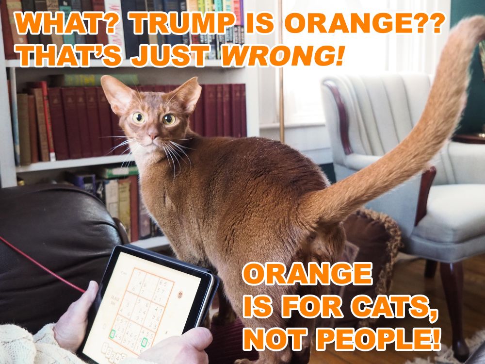 Amnuhotep, being orange, takes exception when he discovers that Trump is orange, too.