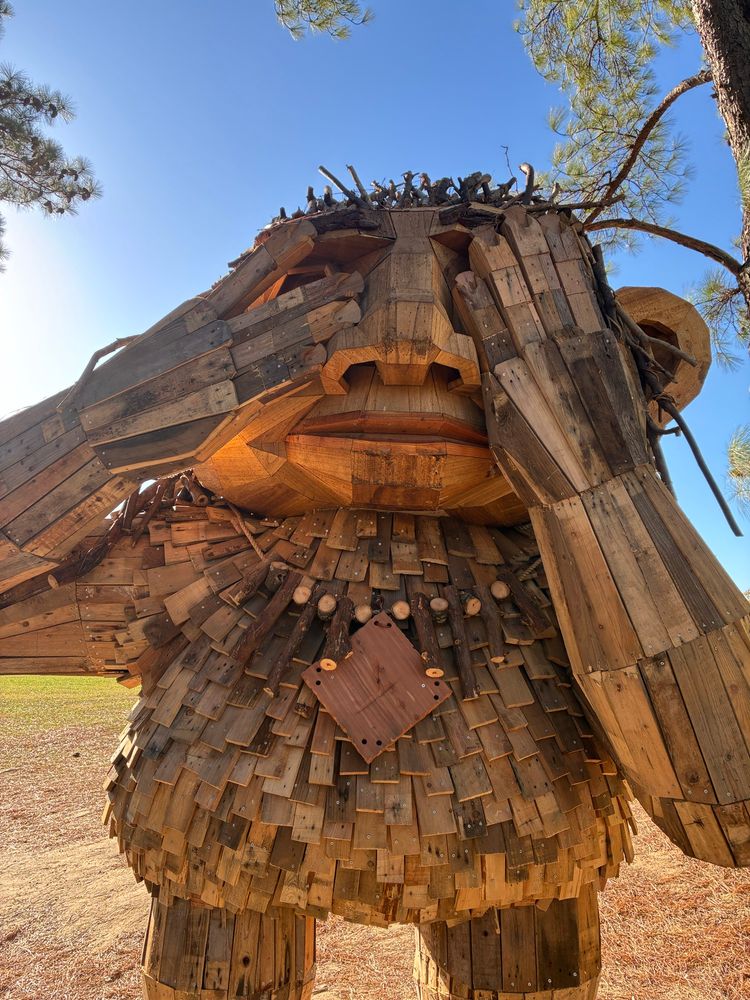 a wooden troll plays hide and seek