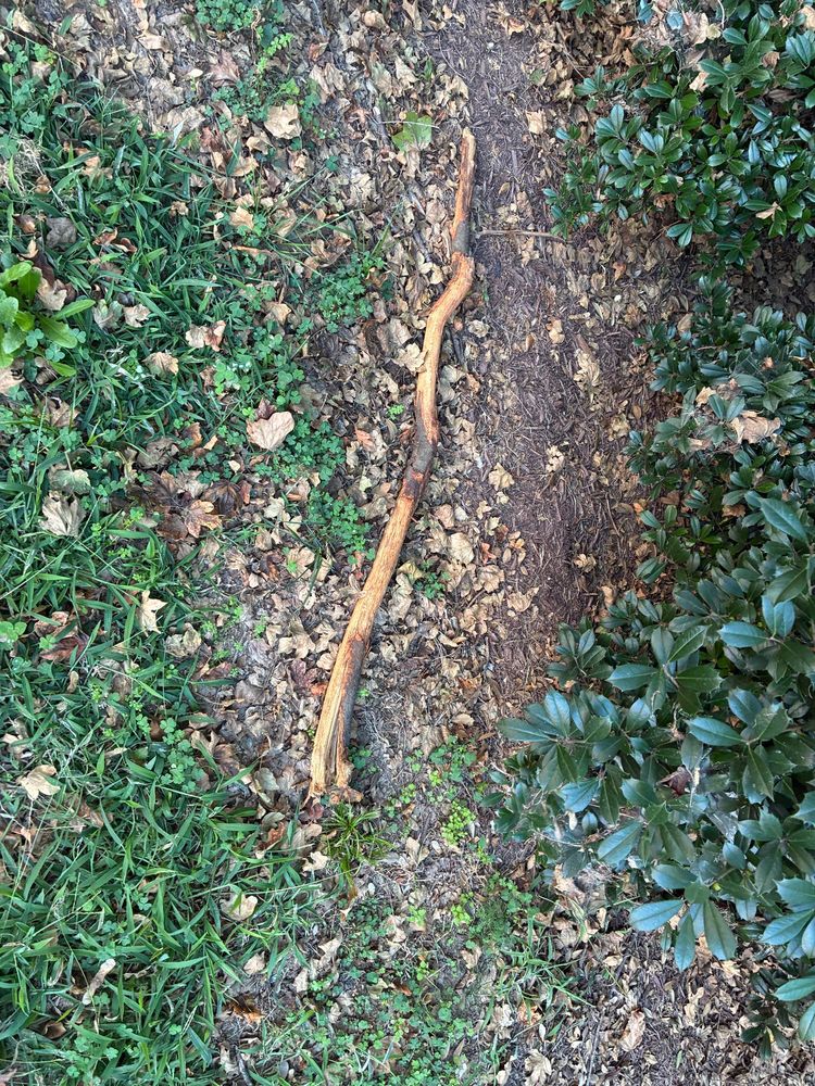i do not touch the gnarled and enchanted stick upon the ground