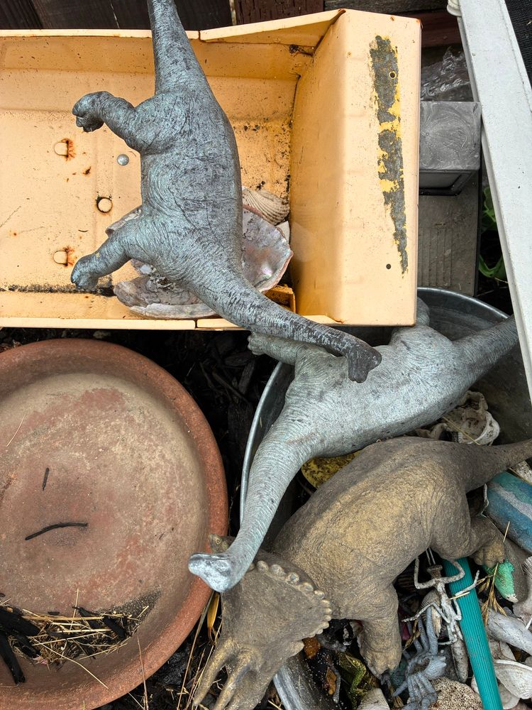 grey dinos in a box