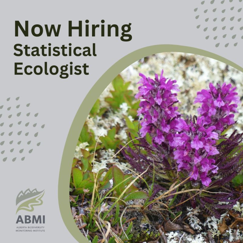 A photo of flowers and lichen with a caption that says "Now Hiring Statistical Ecologist"
