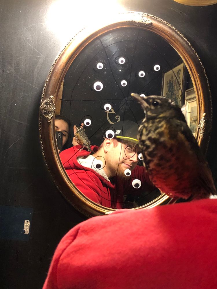 A mirror that is graffitied in sharpie to look like a pizza. The “pepperonis” have googley eyes in them. A bird sits on a shoulder and reflections of a person in a hat and a sliver of a person taking the photo can be seen.