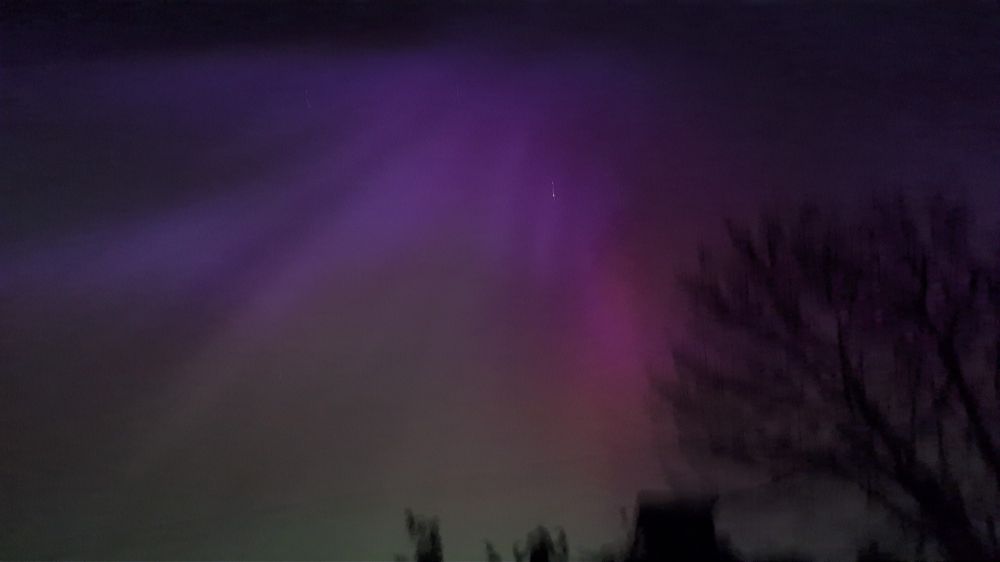 View of the aurora last night from my back yard. Blurred, but vivid.